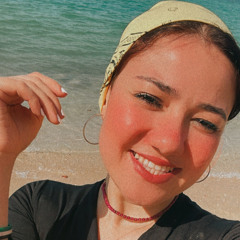 Menna M. Nazmy