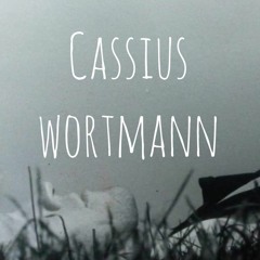 Cassius Wortmann 凯