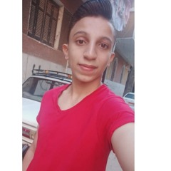 mohamed Alaa