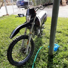 Salvi