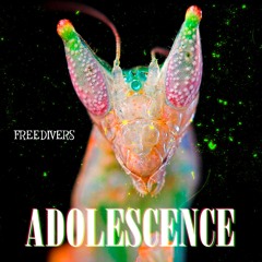 Freedivers