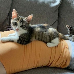 ghhiakbbbhhuuiiOoaoaoapbnnh