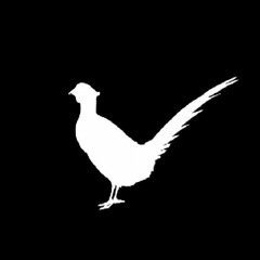 Zwei Vögel Reisepodcast