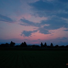satosii