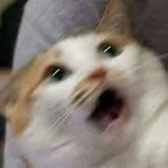 entotu____