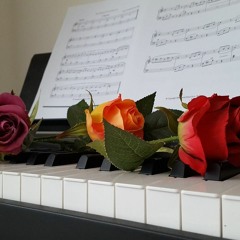 Background Beautiful