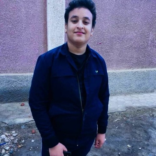 Mahmoud Abo Elnaga’s avatar