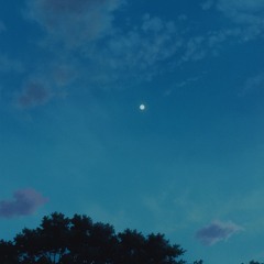 𝙎𝙪𝙧𝙛𝙞𝙣𝙞𝙭