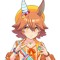 aoirikan