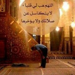 Mohamed Bakr Abdalla Ahmed