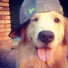 kiddyelo