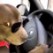 BarKPeel'd