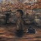 Son Of Owen Self