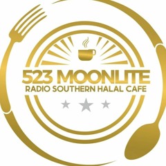 523 Moonlite Radio