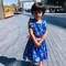 Mansha Batool Shahani