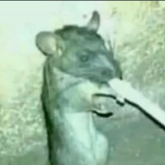 ok