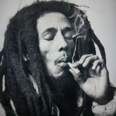 504 Marley