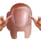 HandSUS