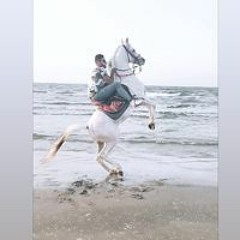 Mohamed Zizo Ashosh