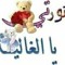 Amir fouad