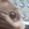 [Atropine] / dJ PoLYBIUS