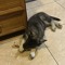 plaything