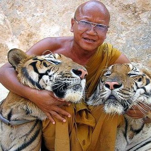Yaritaku Nattara Soku Hamessho