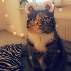 Janine Will Nur Tanzen