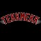 TekkMekk