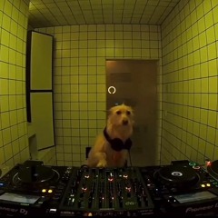ppapsi