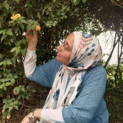 eman sayed