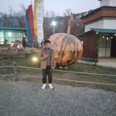 Thinley Wangchuk