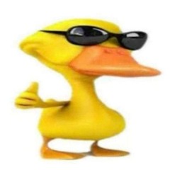 scottor