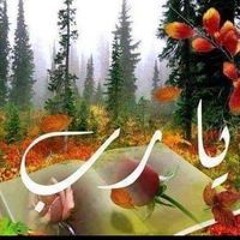 Ahmed Hamada