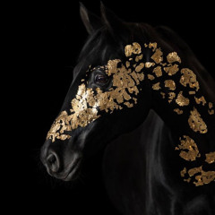 ShăĦinặz ßăsuneƴ