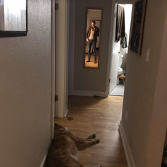 draughle