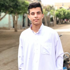 sh3bo
