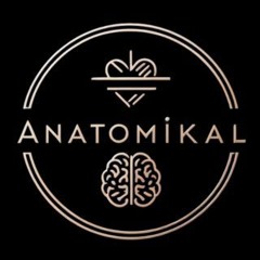 Anatomikal