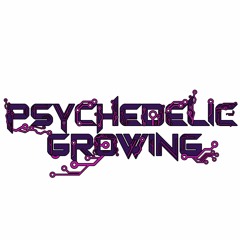 Digital Nightmare (180 Bpm)