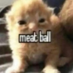 lil meatball