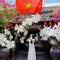 Hoài Thương