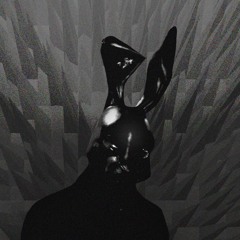 🐰 RABBITS 🐰