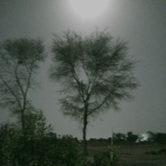 Muzzamil Chishti