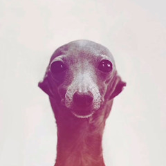 yktg.ryan