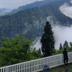 Sikandar bangash