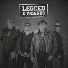 Leoced and Friends