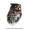 Artificial Owl Recordings