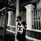 Dzinn_Prod ✪