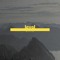 Level Records