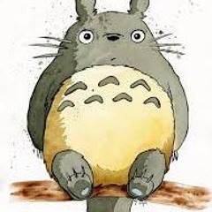 Totoro Lover